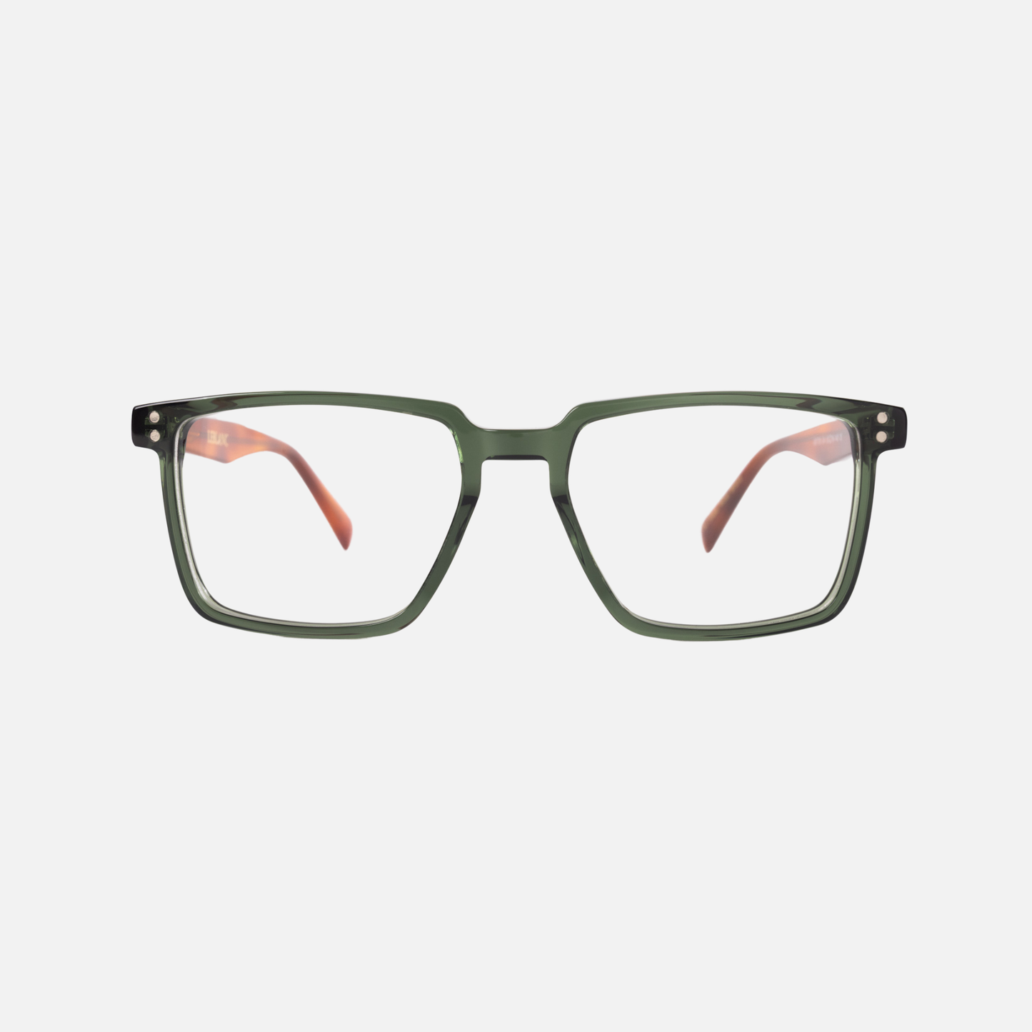 Vizzini Olive Tortoise