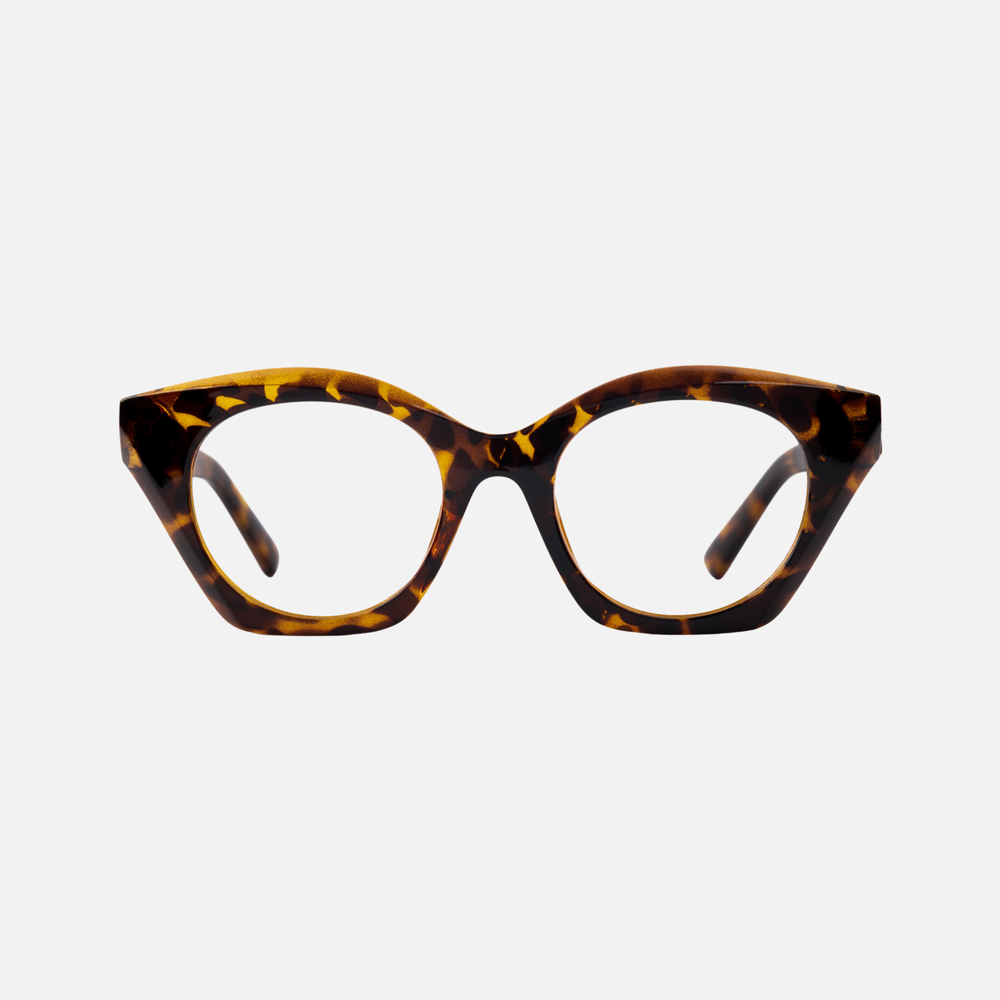 Yuzu Tortoise
