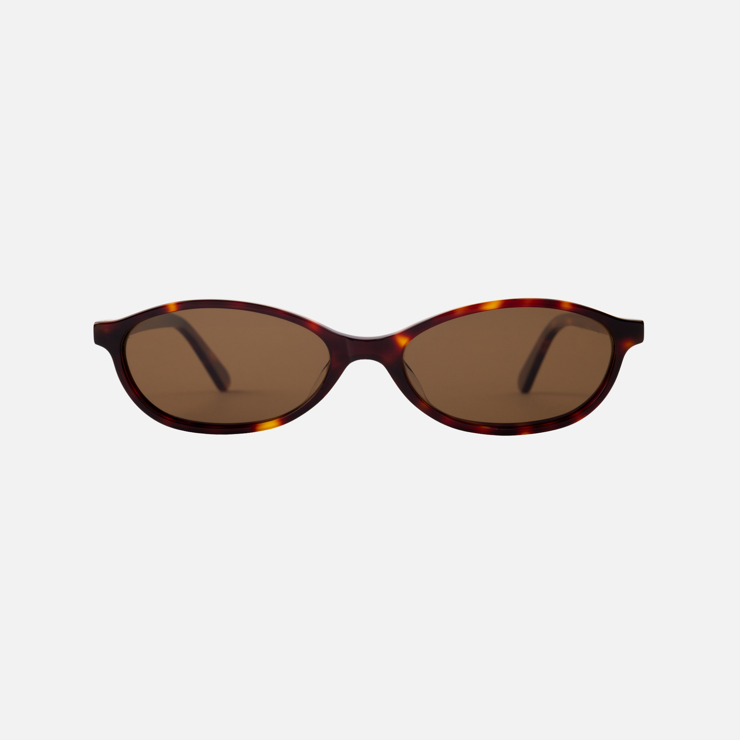 Jolene Tortoise