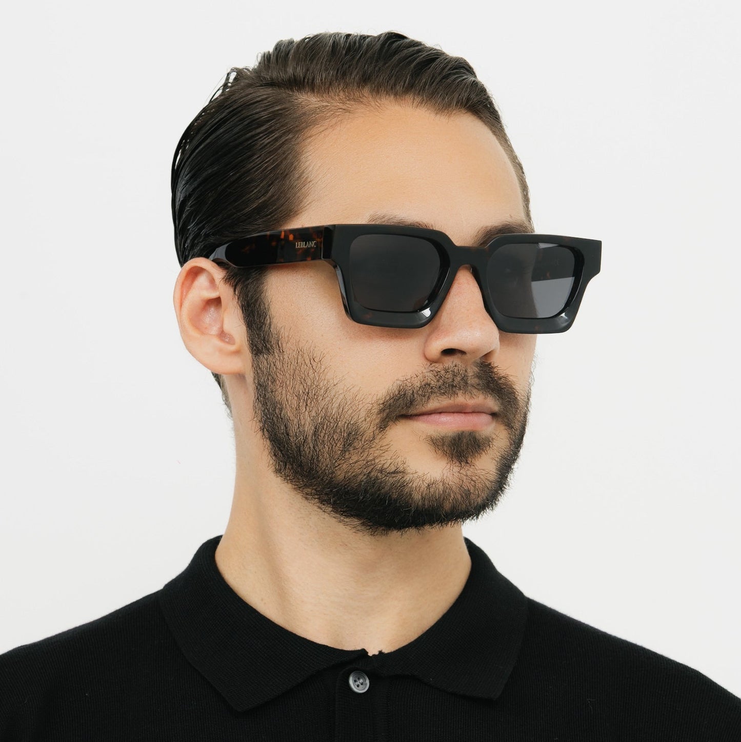 Laurent Tortoise