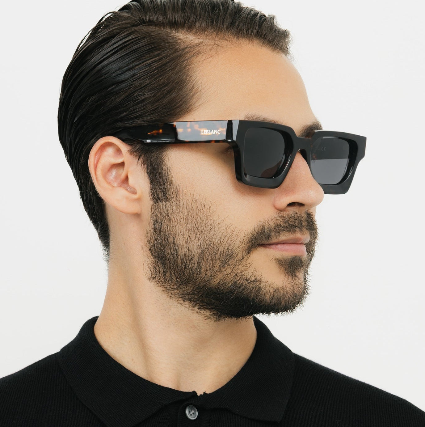 Laurent Tortoise