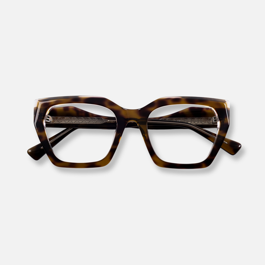 Asia Chocolate Tortoise