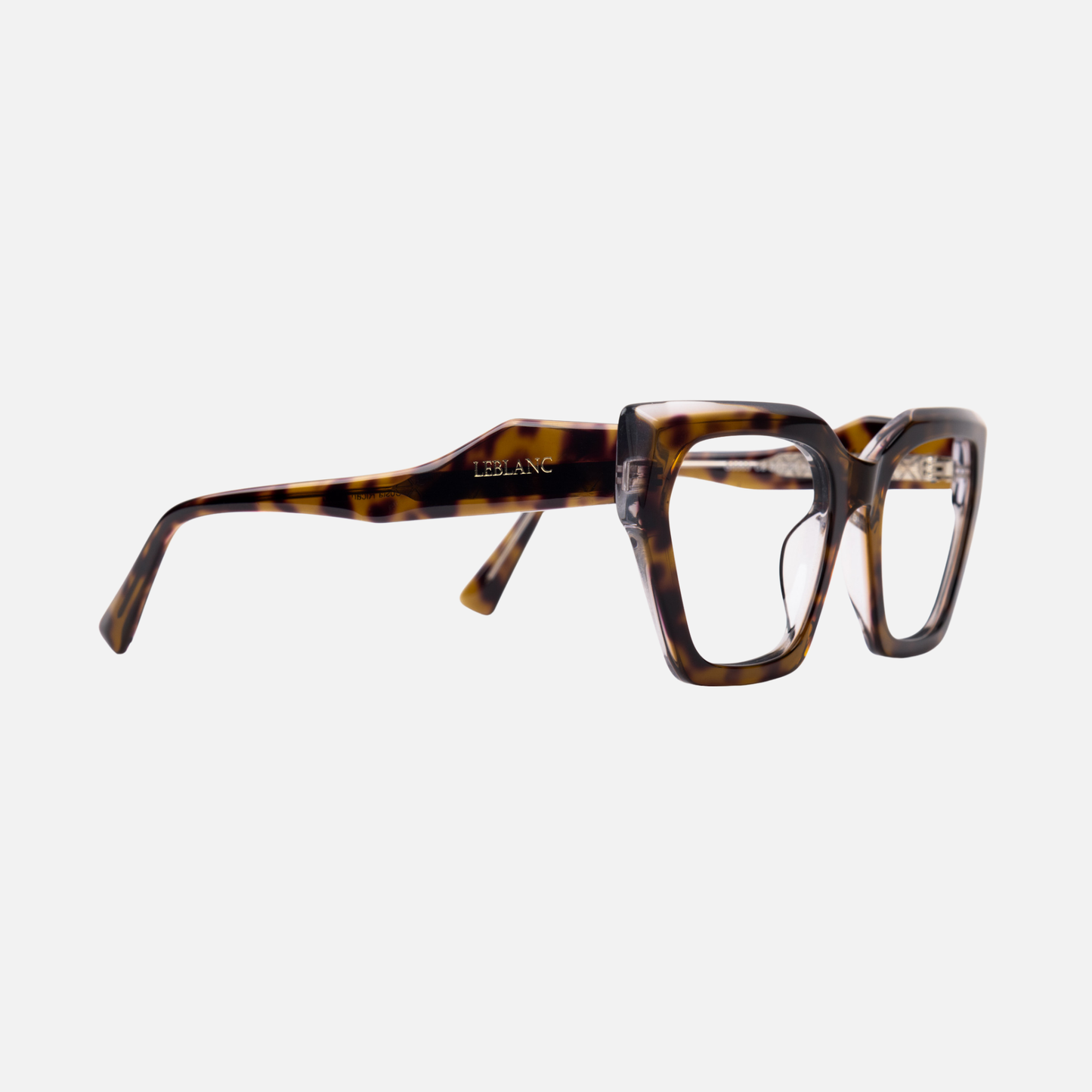 Asia Chocolate Tortoise