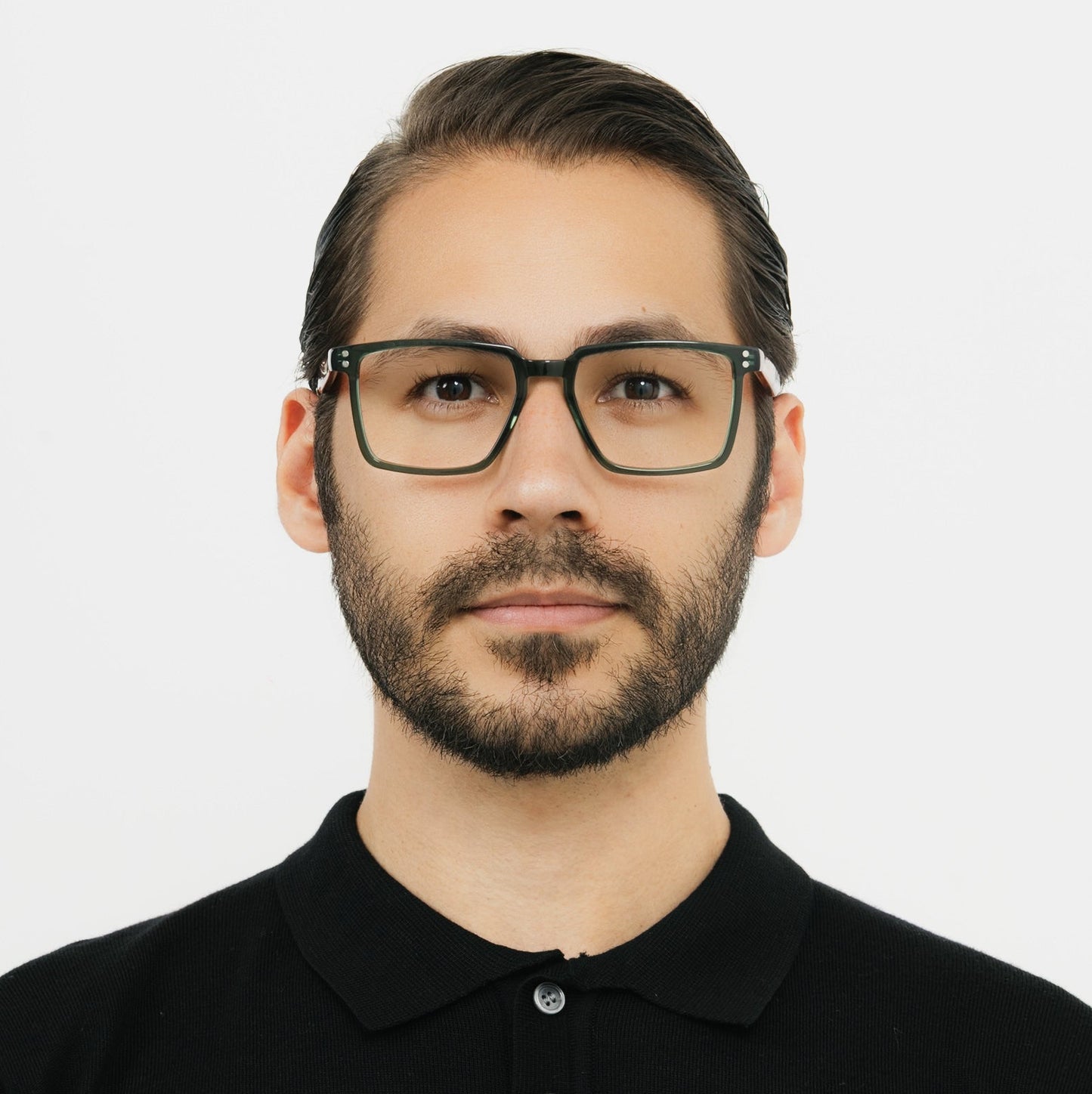 Vizzini Olive Tortoise