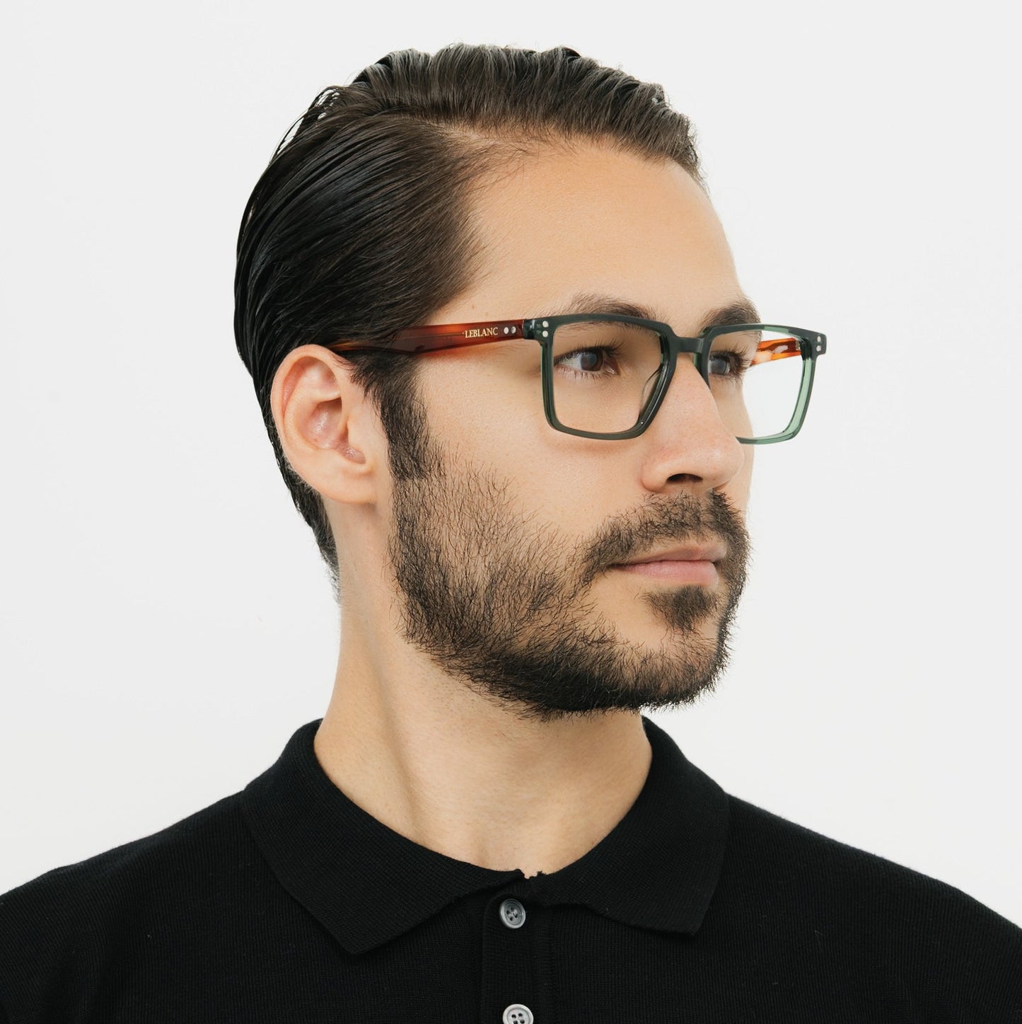 Vizzini Olive Tortoise