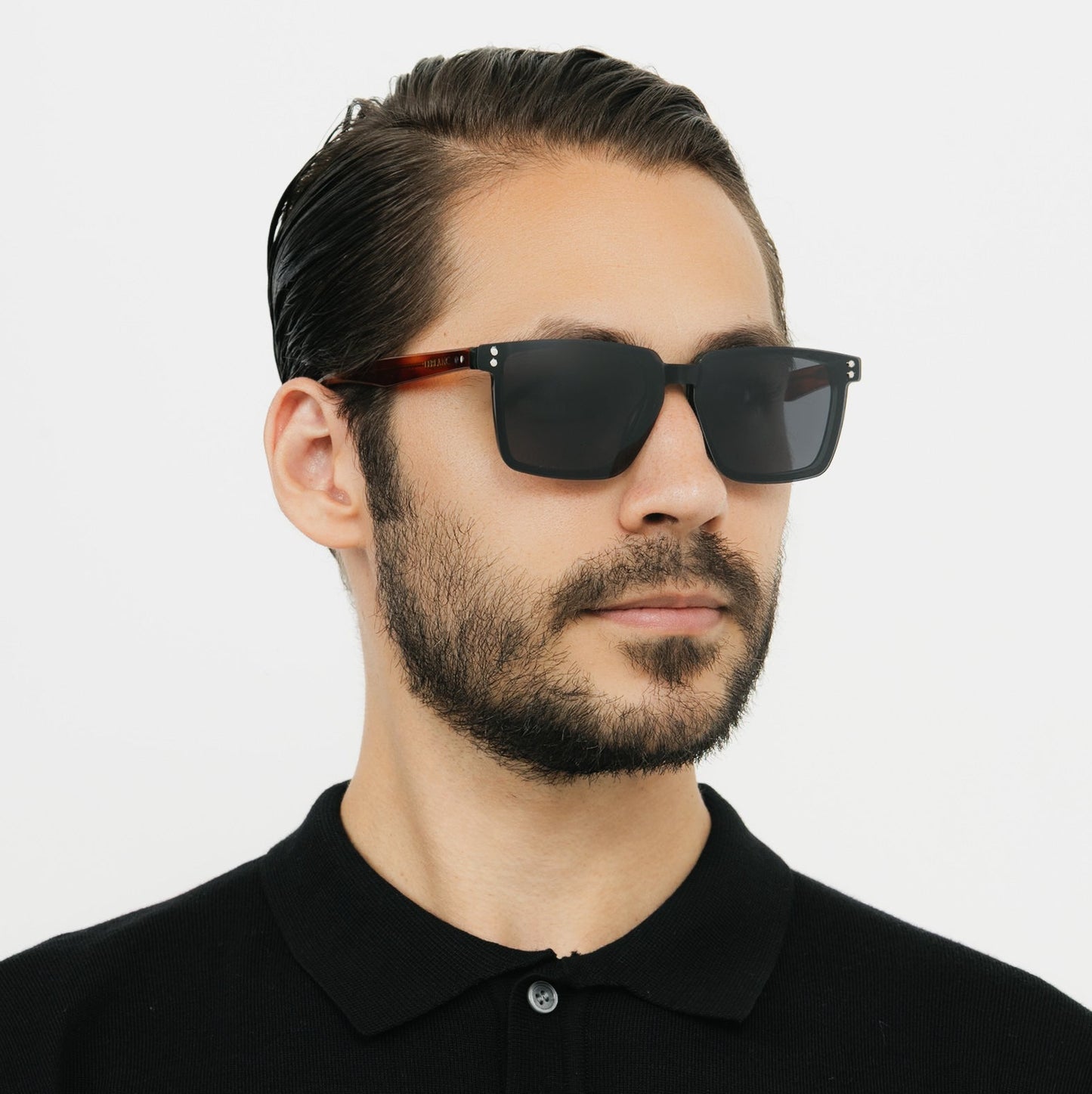 Vizzini Olive Tortoise